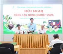 Hội nghị Nông nghiệp VRG năm 2025: Hiện đại hóa canh tác – Phát triển bền vững