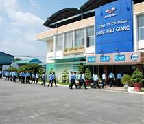 DHG: Dược Hậu Giang lãi 266 tỷ trong quý 1, ôm lượng tiền mặt khủng