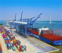 VSC: Lợi nhuận quý I/2025 của "ông trùm" bến cảng Hải Phòng tăng đột biến