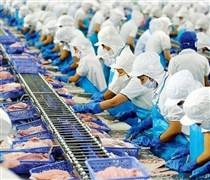 VHC: Vĩnh Hoàn lạc quan về thị trường Hoa Kỳ dù đưa ra kịch bản kinh doanh thận trọng