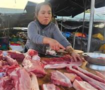Heo giá tốt mà người nuôi vẫn còn lo lắng