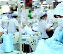 PTG: Trả cổ tức bằng tiền gấp 14 lần thị giá