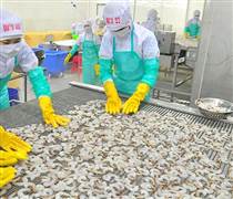FMC: Thực phẩm Sao Ta chốt ngày chia cổ tức, tiền mặt 20%