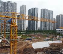 PIC: Tổ chức Đại hội đồng cổ đông thường niên - 2025