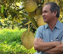 HAG: Bầu Đức hái quả ngọt nhờ kiên trì chăn nuôi heo, trồng sầu riêng