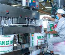 DCM: Đạm Cà Mau hoàn thành hơn 50% kế hoạch lợi nhuận năm sau quý I/2025