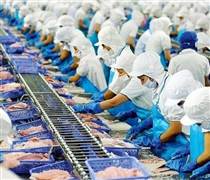 VHC: Doanh thu giảm, lãi ròng của Vĩnh Hoàn vẫn tăng 11%