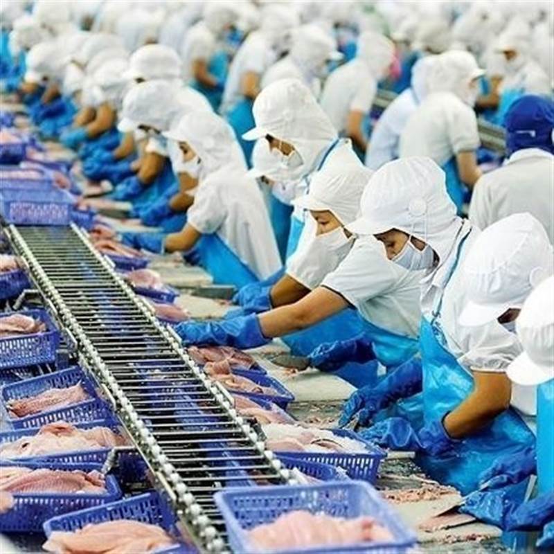 VHC: Doanh thu giảm, lãi ròng của Vĩnh Hoàn vẫn tăng 11%