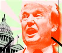 Công ty vận chuyển xuyên biên giới chi 20 triệu USD vào TRUMP Meme Coin