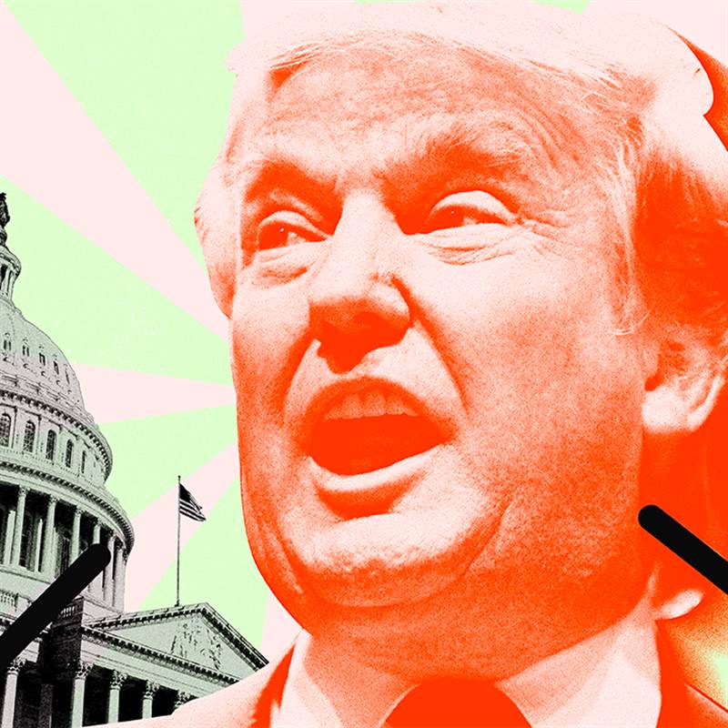 Công ty vận chuyển xuyên biên giới chi 20 triệu USD vào TRUMP Meme Coin