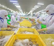 Từ tôm đến gỗ, nhiều doanh nghiệp Việt tăng tốc giao hàng sang Mỹ