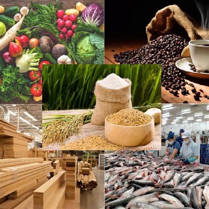 3 kịch bản dự báo cho ngành nông, lâm, thủy sản Việt Nam trong năm 2025