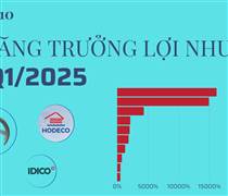 Tăng trưởng lợi nhuận 'khủng' nhất Q1/2025: Đứng đầu là 2 công ty BĐS tăng trên 10.000%, 2 công ty ô tô tăng trên 2.000%