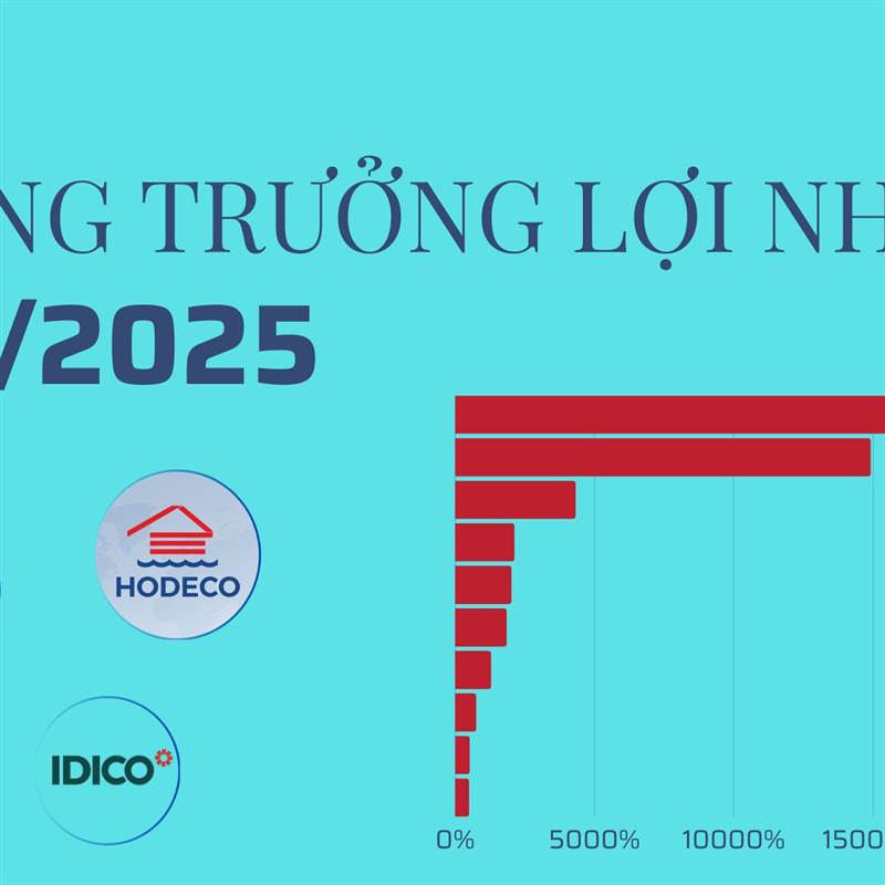 Tăng trưởng lợi nhuận 'khủng' nhất Q1/2025: Đứng đầu là 2 công ty BĐS tăng trên 10.000%, 2 công ty ô tô tăng trên 2.000%