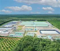 BAF: Doanh thu giảm, lãi ròng BAF Việt Nam quý I/2025 vẫn tăng 12,5%
