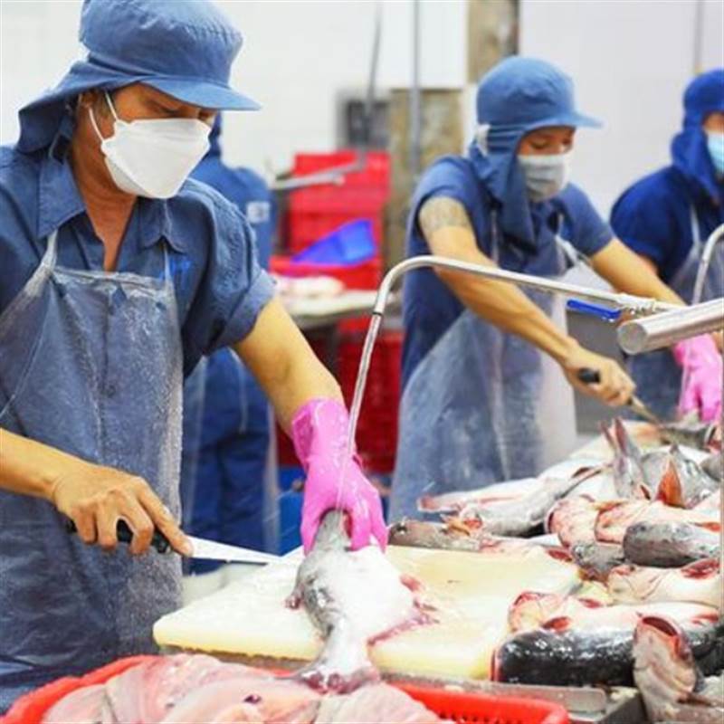 Doanh nghiệp thủy sản 'chạy đua' xuất khẩu sang Mỹ