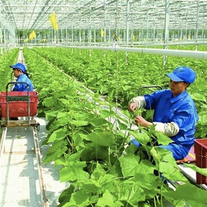 ADB chi 40 tỷ USD hỗ trợ an ninh lương thực giai đoạn 2022 - 2030