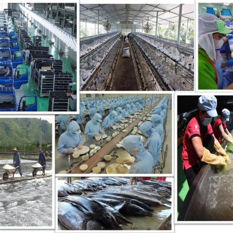 Xung lực mới cho kinh tế tư nhân