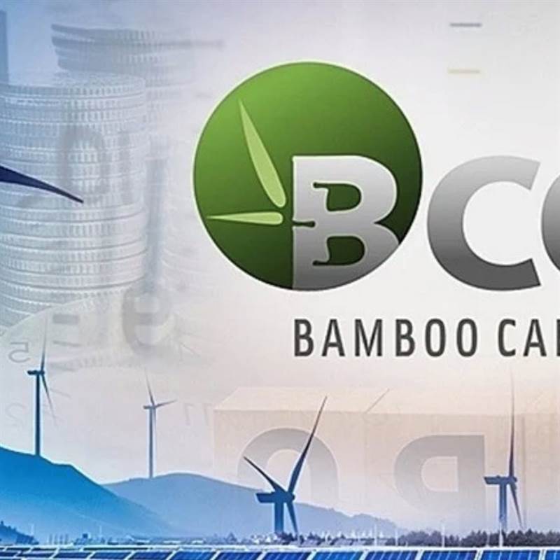 Loạt cổ phiếu trong hệ sinh thái của ông Nguyễn Hồ Nam "có biến"