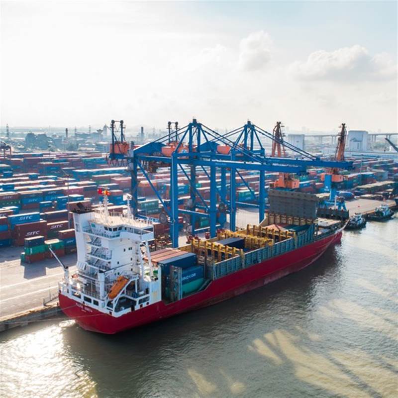 DVP: Cổ đông DVP chuẩn bị nhận cổ tức bằng tiền tỷ lệ 40%