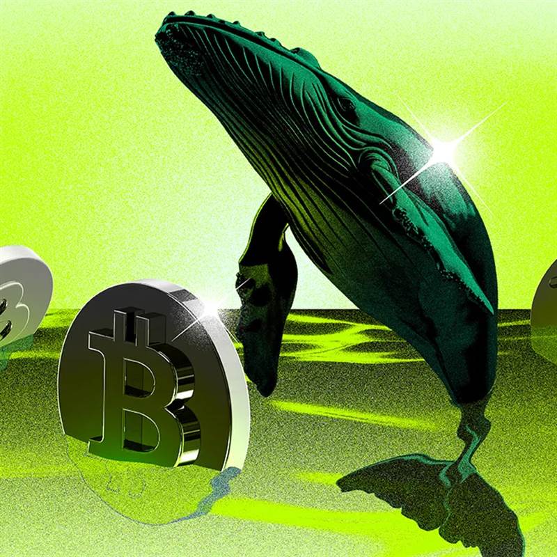 Ví Bitcoin im lặng 12 năm chuyển 324 triệu USD—Những “cá voi” cũ đang ám chỉ điều gì?