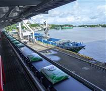 Chi bộ Kinh doanh PVCFC: Đẩy mạnh chuyển đổi số, tích cực mở rộng thị trường