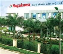 Báo cáo tài chính quý 1/2025 - NAG doanh thu thuần tăng 42,38%