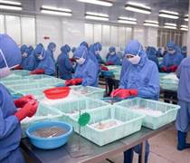 MEF: MEINFA chốt quyền chia cổ tức 50% bằng tiền mặt