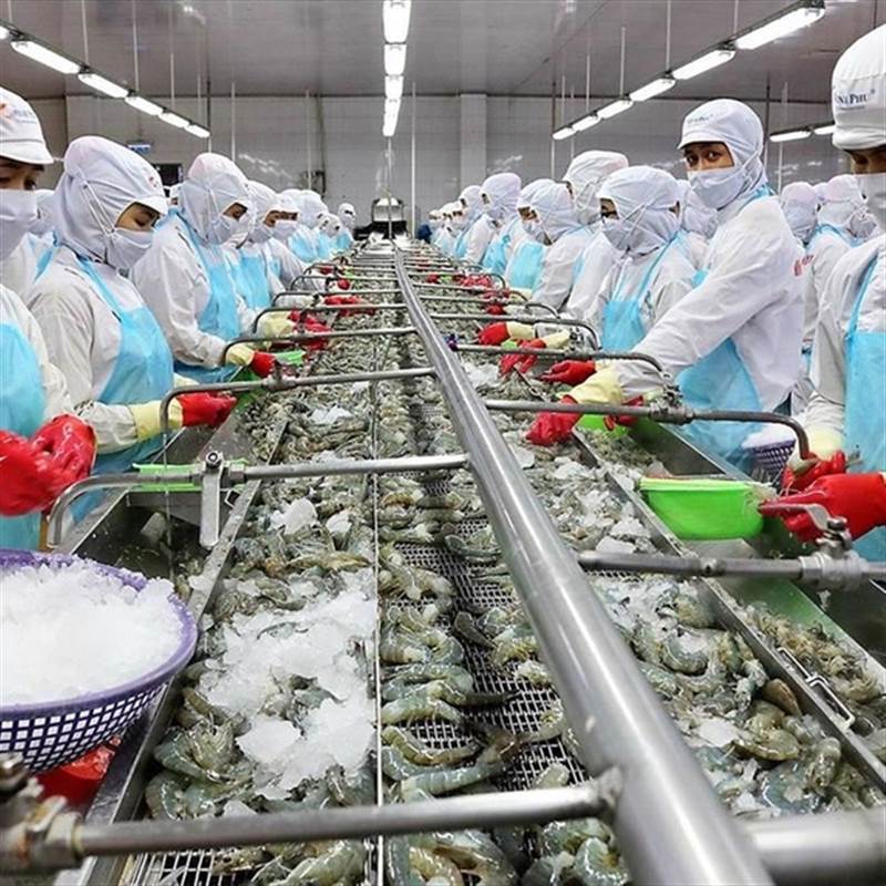 Xuất khẩu thủy sản hồi phục mạnh mẽ