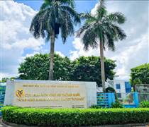 TNC: Báo lãi quý I/2025 tăng 95% nhờ bán chuối