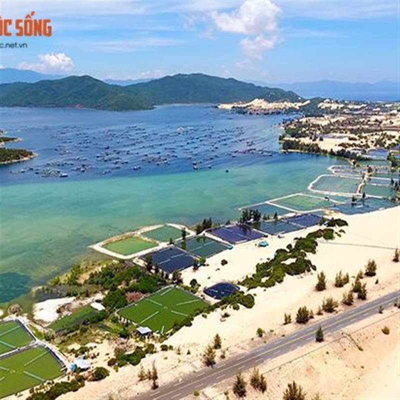 Cảng Hàng không Vân Phong được đề xuất đưa vào Quy hoạch quốc gia