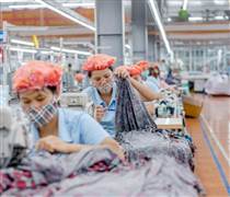 MSH: Doanh nghiệp dệt may có tỷ trọng xuất khẩu sang Mỹ cao nhất ngành sắp thưởng cổ phiếu 50%, kế hoạch lợi nhuận cao kỷ lục