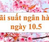 Lãi suất ngân hàng hôm nay 10.5: Mức lãi suất cao nhất Big4