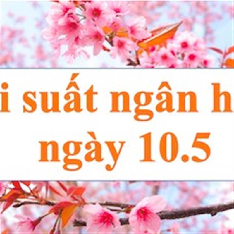 Lãi suất ngân hàng hôm nay 10.5: Mức lãi suất cao nhất Big4