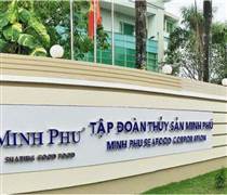 MPC: Thủy sản Minh Phú phục hồi lợi nhuận trong quý I/2025 sau hai quý thua lỗ