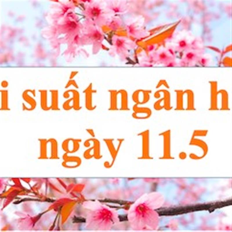 Lãi suất ngân hàng hôm nay 11.5: Kỳ hạn 12 tháng lãi suất cao nhất 6%-9,65%