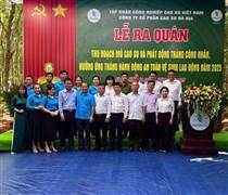 Năm 2025 Cao su Bà Rịa phấn đấu khai thác vượt 7% sản lượng