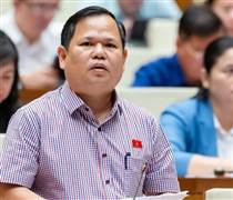 ĐBQH: 'Ngành than, ngành điện rất lỗ nhưng doanh nghiệp Nhà nước vẫn độc quyền'