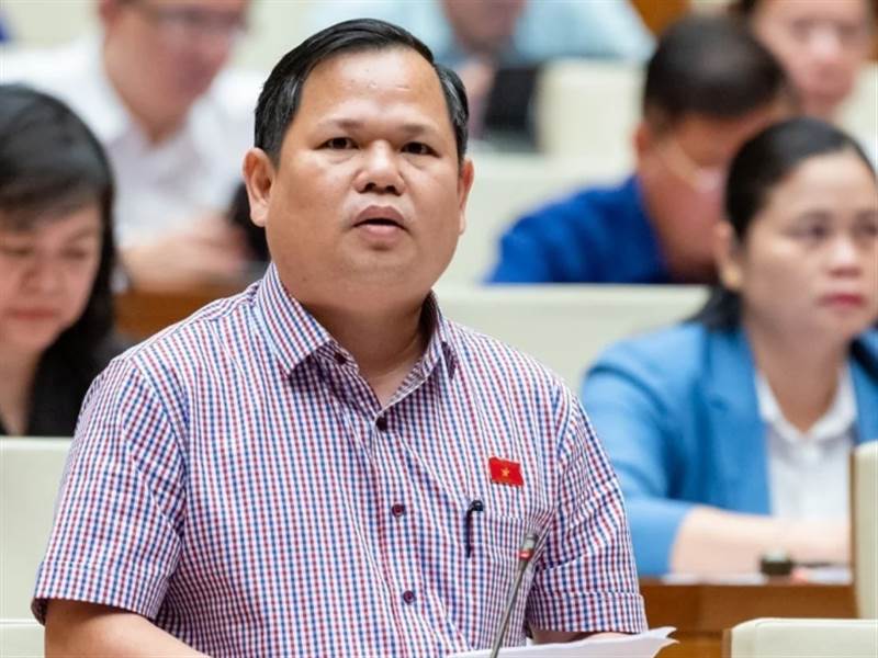 ĐBQH: 'Ngành than, ngành điện rất lỗ nhưng doanh nghiệp Nhà nước vẫn độc quyền'