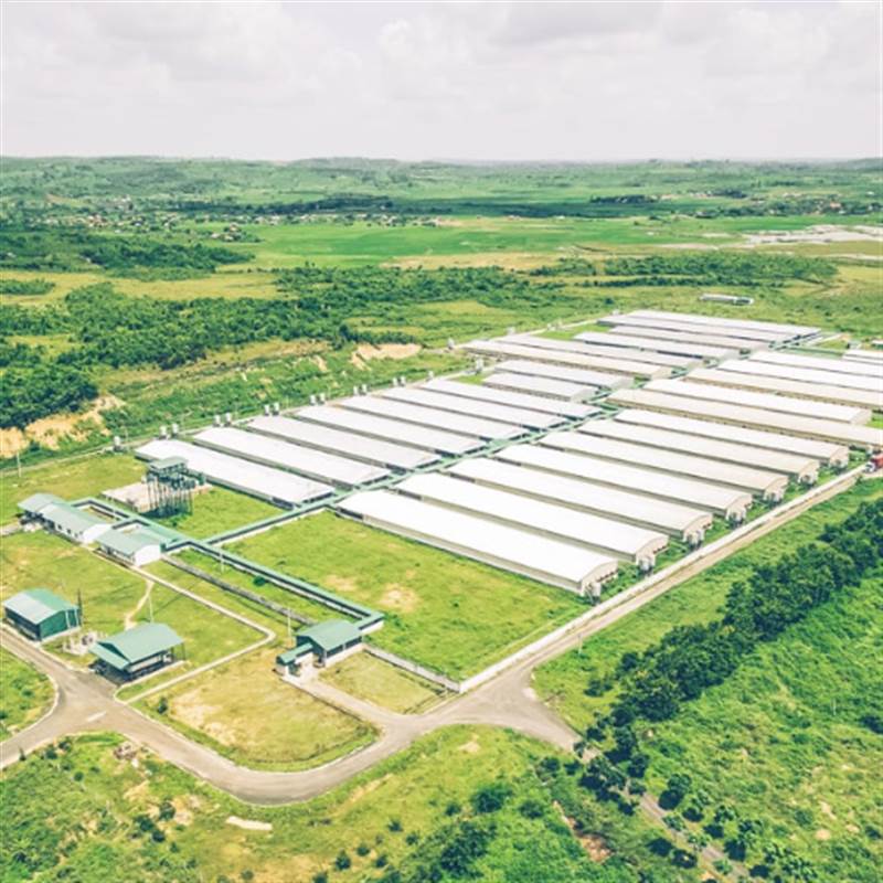 Đại gia chăn nuôi kín tiếng ở Long An lãi 2.100 tỷ, vượt mặt nhiều ‘ông lớn’ trên sàn