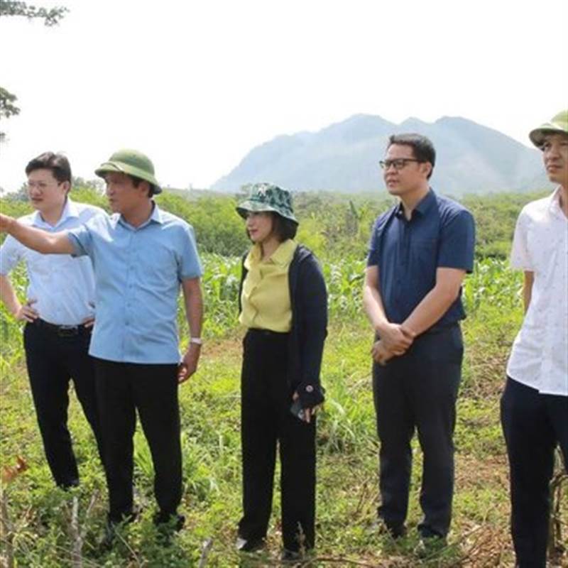 Công ty ở Phú Thọ trúng gói thầu 1.462 tỉ đồng thi công cao tốc Hòa Bình - Mộc Châu