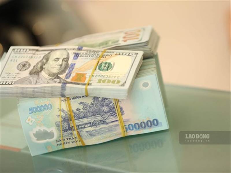  Lộ diện doanh nghiệp chi cổ tức hào phóng nhất mùa cổ tức 2025