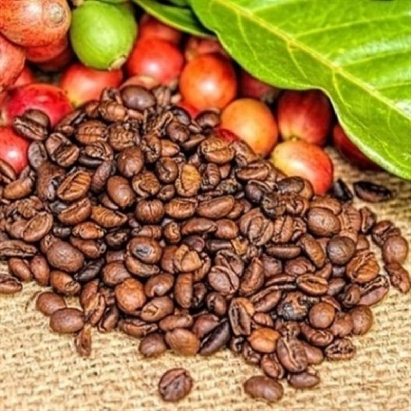 Bản tin nông sản hôm nay (14-5): Giá cà phê giảm mạnh