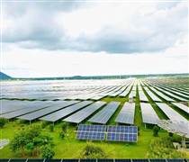 ASM: Tập đoàn Sao Mai góp 75% vốn tại doanh nghiệp điện gió