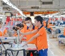 VGT: Xuất khẩu dệt may quý 3 vẫn tích cực, nhưng quý 4 sẽ chậm lại