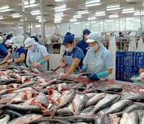 ANV: Con trai Tổng Giám đốc Nam Việt bị bán giải chấp 4,3 triệu cổ phiếu ANV