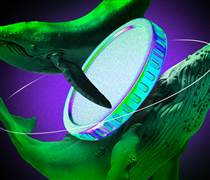 Cá voi tiền điện tử đã mua những altcoin này trong tuần thứ ba của tháng 05/2025