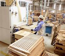 Ngành gỗ quý I/2025: Lợi nhuận “rụng lá” giữa rừng doanh thu
