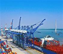 DXP: Biến động nhân sự cấp cao, cổ đông dấy lên câu hỏi về chiến lược mới