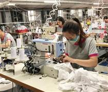 MSH: Sắp phát hành 37,5 triệu cổ phiếu thưởng cho cổ đông